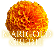 Marigold Credit Company